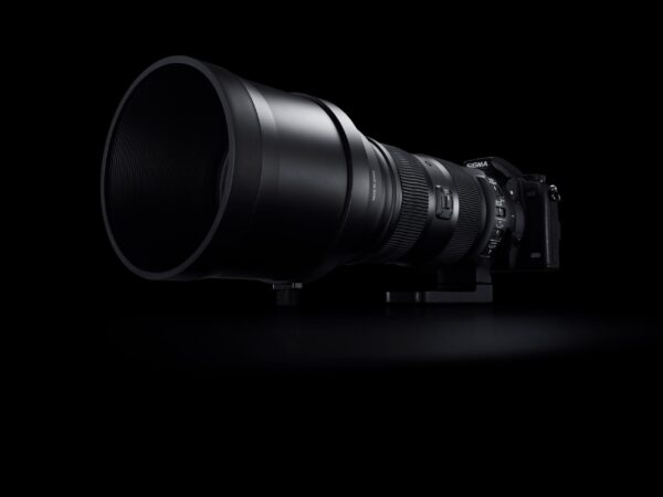 Sports<br class="hb"> SIGMA 150-600mm f/5-6.3 DG OS HSM — изображение 5